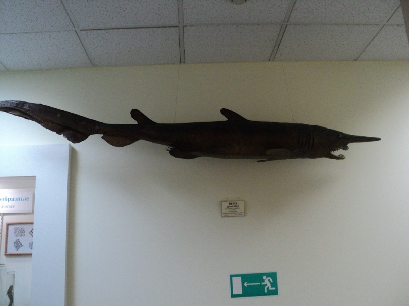 Владивосток или Туда и Обратно поездом