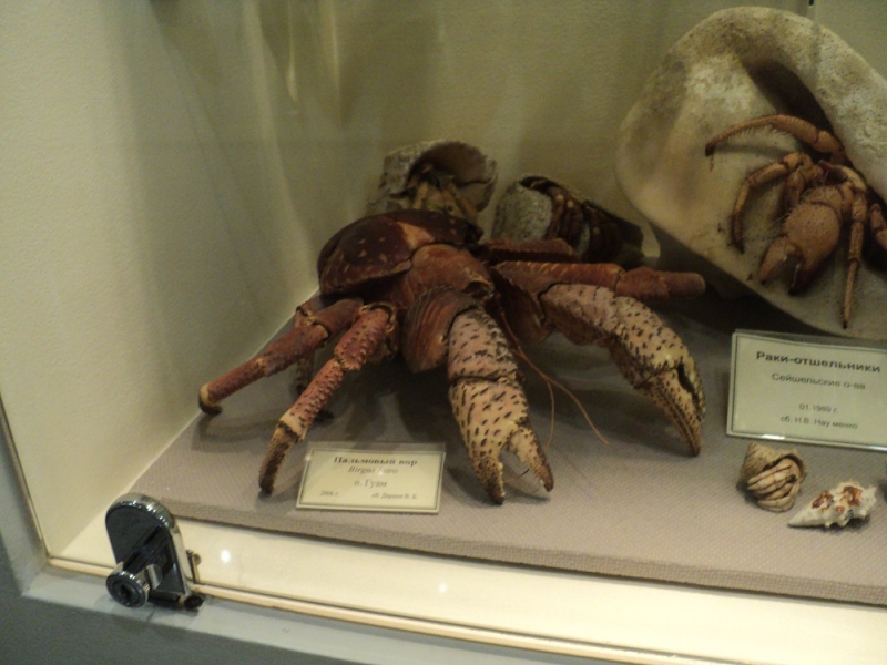 Владивосток или Туда и Обратно поездом