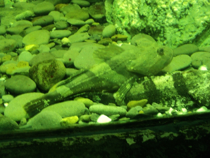 Владивосток или Туда и Обратно поездом