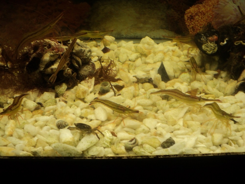 Владивосток или Туда и Обратно поездом