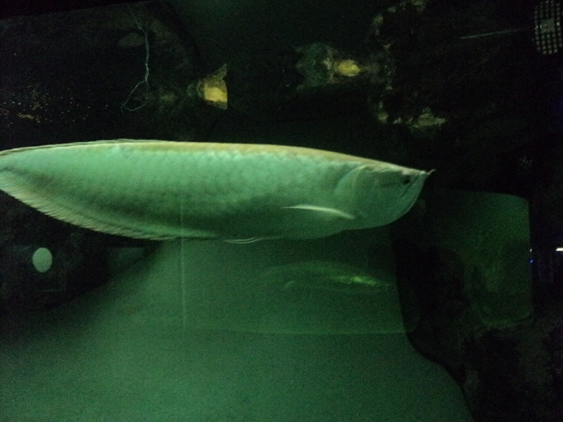 Владивосток или Туда и Обратно поездом