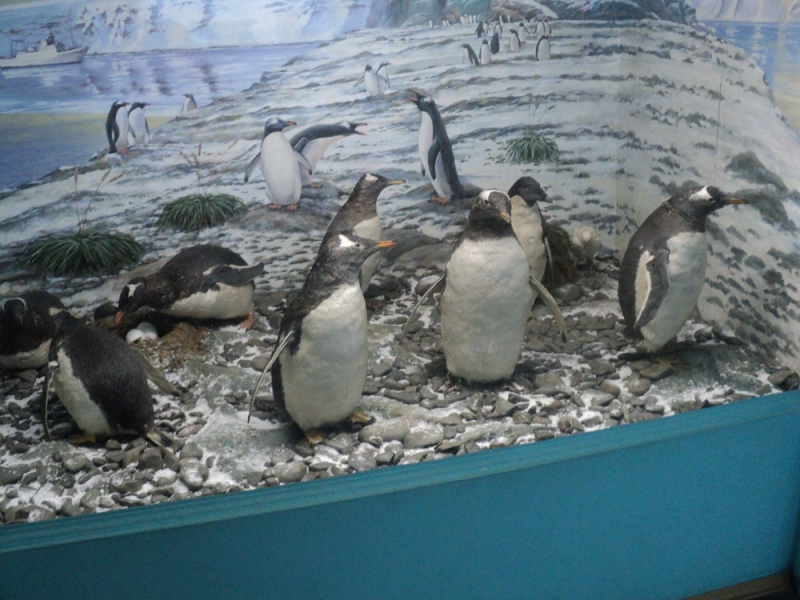 Владивосток или Туда и Обратно поездом