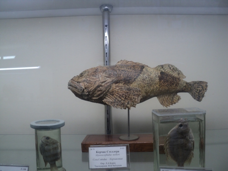 Владивосток или Туда и Обратно поездом