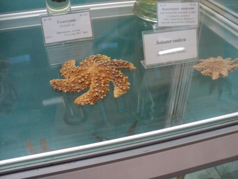 Владивосток или Туда и Обратно поездом