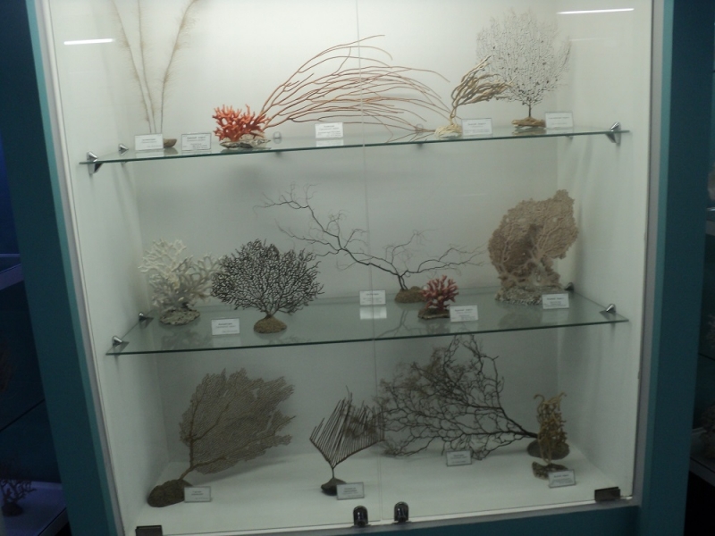 Владивосток или Туда и Обратно поездом