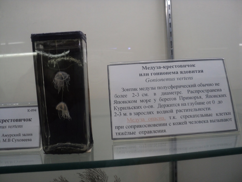 Владивосток или Туда и Обратно поездом