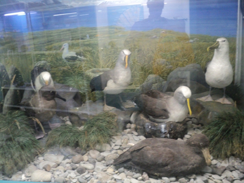 Владивосток или Туда и Обратно поездом