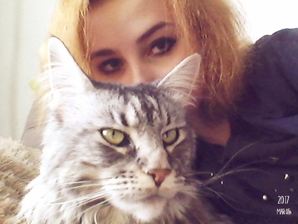 Кошки в нашей жизни. Кошки и все, что с ними связано.