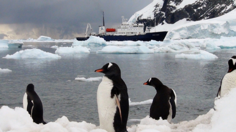 Чили - Антарктика - Аргентина декабрь 2012г.