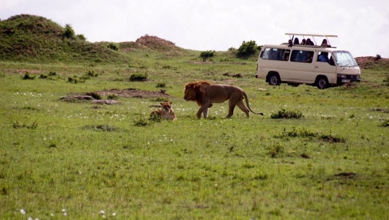 Back to Nairobi
