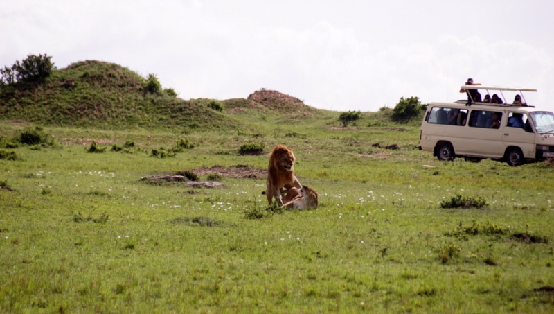 Back to Nairobi