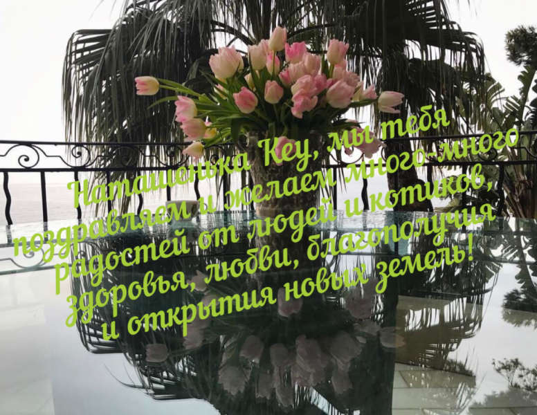 Кошки в нашей жизни. Кошки и все, что с ними связано.