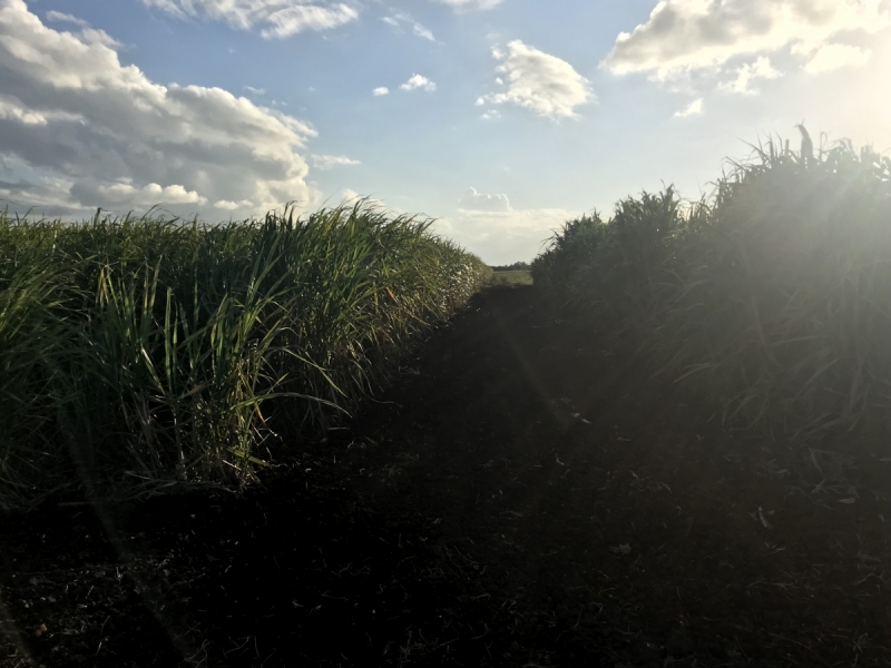 КУБА: Выдох развеянных мифов и вздох неожиданных разочарований