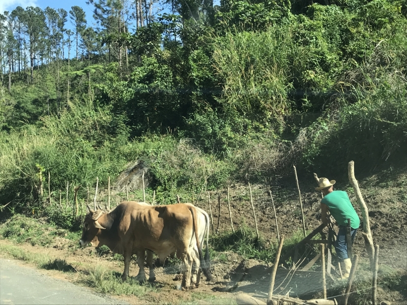 КУБА: Выдох развеянных мифов и вздох неожиданных разочарований