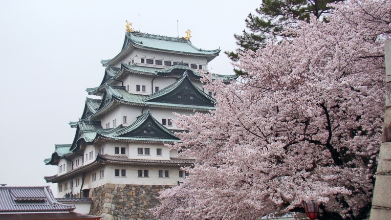 Две недели сакуры – Nagoya, Osaka, Kyoto (7-22 апреля 2017)