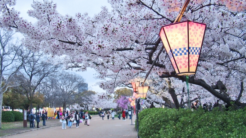 Две недели сакуры – Nagoya, Osaka, Kyoto (7-22 апреля 2017)