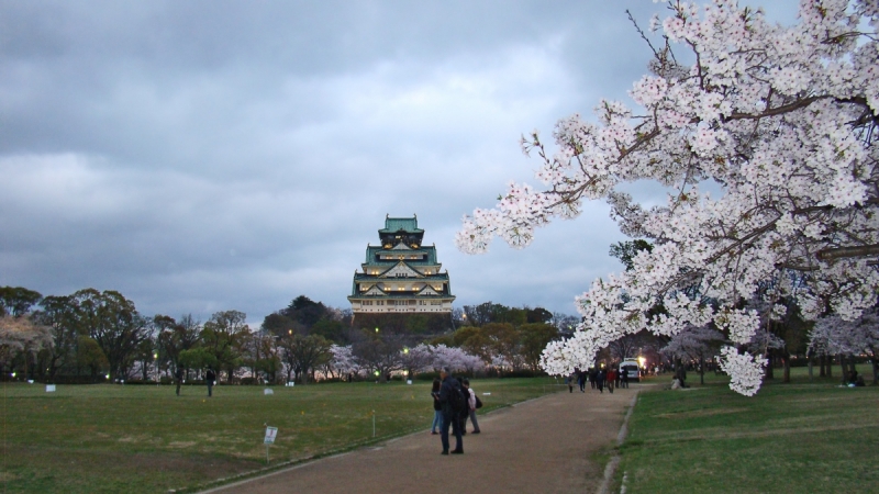 Две недели сакуры – Nagoya, Osaka, Kyoto (7-22 апреля 2017)