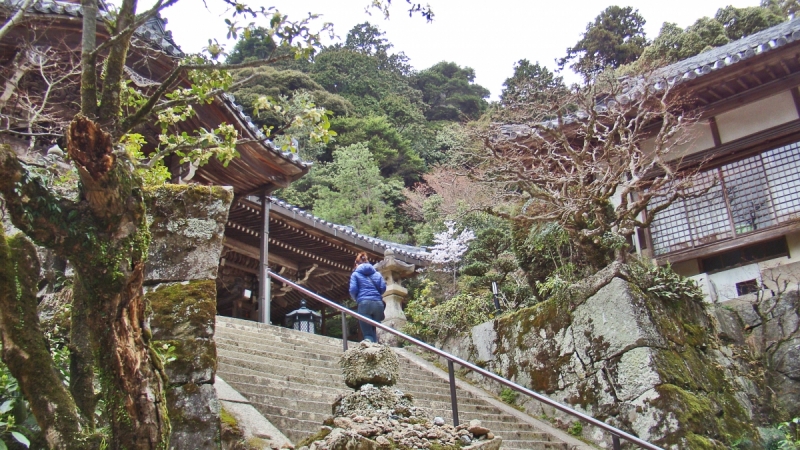 Две недели сакуры – Nagoya, Osaka, Kyoto (7-22 апреля 2017)