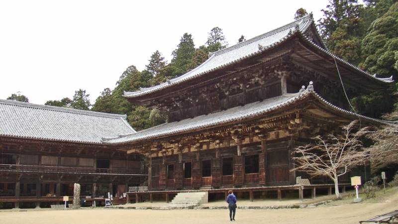 Две недели сакуры – Nagoya, Osaka, Kyoto (7-22 апреля 2017)