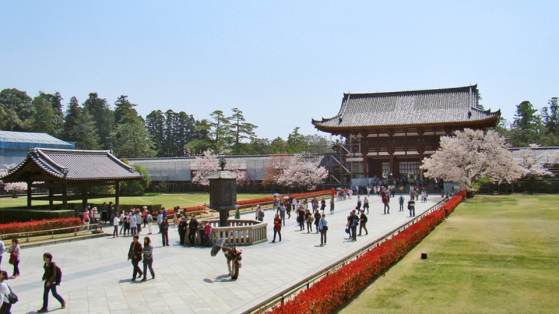 Две недели сакуры – Nagoya, Osaka, Kyoto (7-22 апреля 2017)