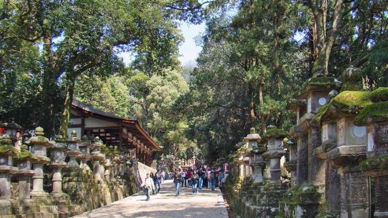 Две недели сакуры – Nagoya, Osaka, Kyoto (7-22 апреля 2017)