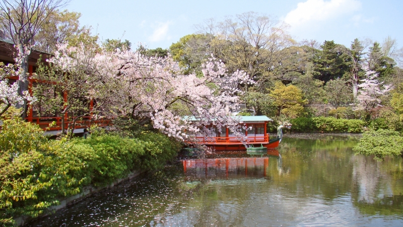 Две недели сакуры – Nagoya, Osaka, Kyoto (7-22 апреля 2017)