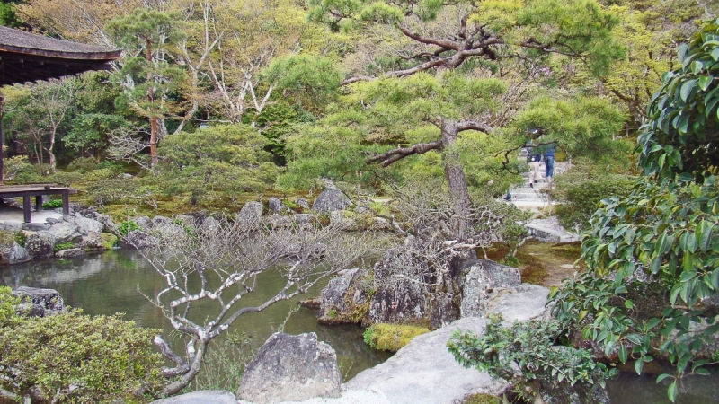 Две недели сакуры – Nagoya, Osaka, Kyoto (7-22 апреля 2017)