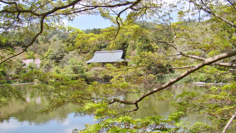 Две недели сакуры – Nagoya, Osaka, Kyoto (7-22 апреля 2017)