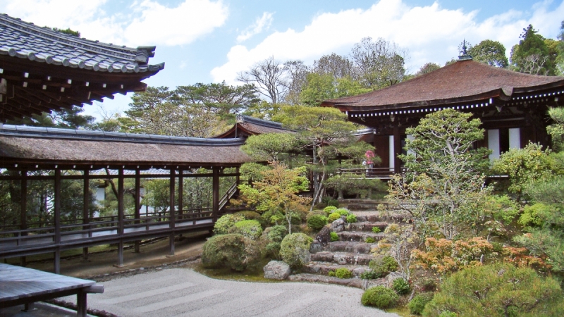 Две недели сакуры – Nagoya, Osaka, Kyoto (7-22 апреля 2017)