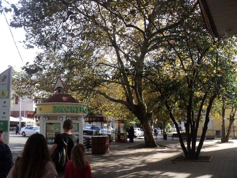 Сочинские экскурсии