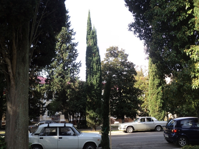 Сочинские экскурсии