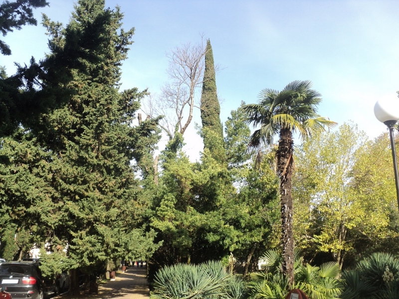 Сочинские экскурсии