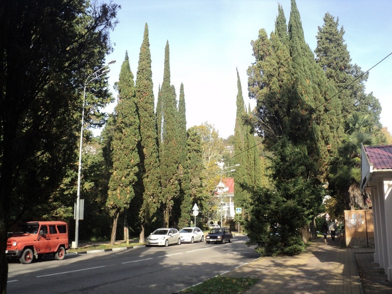 Сочинские экскурсии