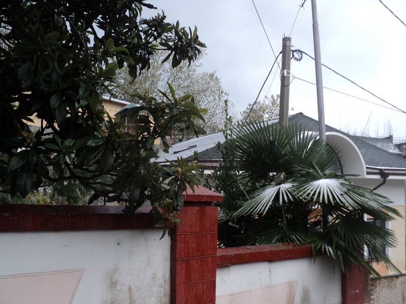 Сочинские экскурсии