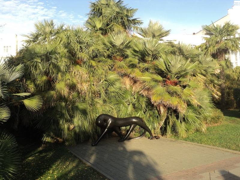 Сочинские экскурсии