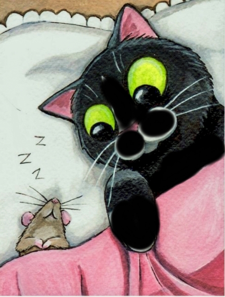 Кошки в нашей жизни. Кошки и все, что с ними связано.