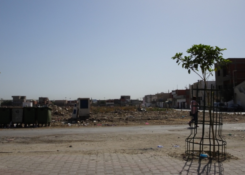 Ужасы, кошмары, гадости, приколы и нелепости, и разная абракадабра из путешествий.