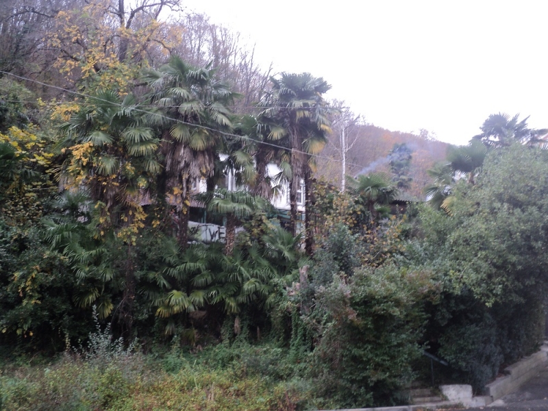 Сочинские экскурсии