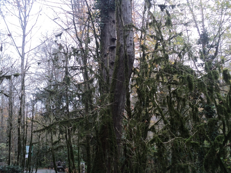 Сочинские экскурсии