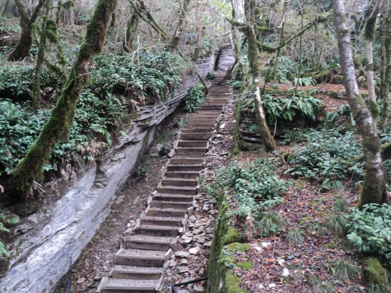 Сочинские экскурсии