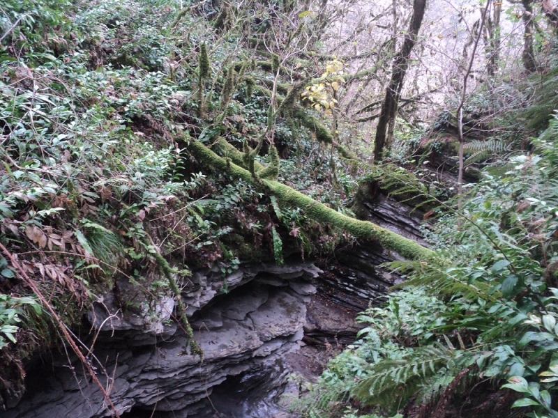 Сочинские экскурсии