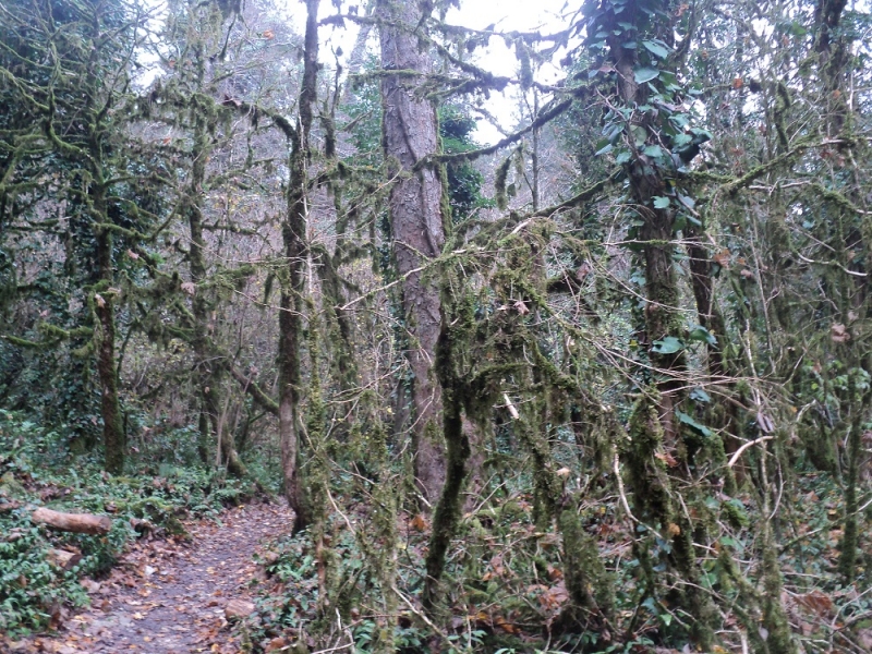 Сочинские экскурсии