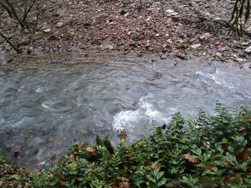 Сочинские экскурсии