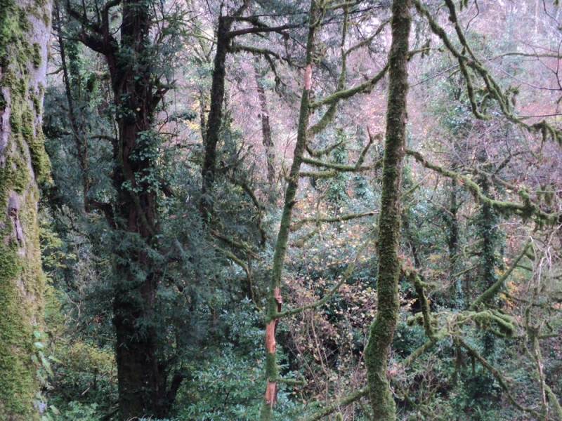 Сочинские экскурсии