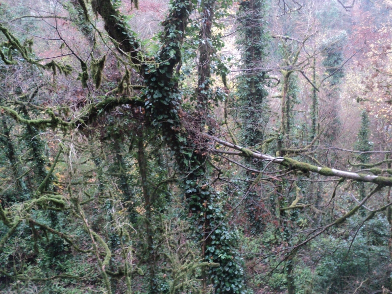 Сочинские экскурсии