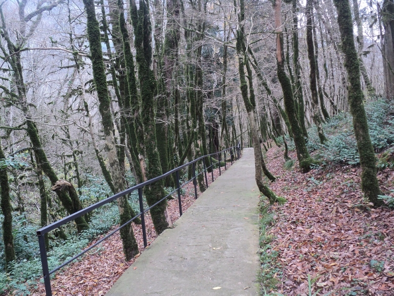 Сочинские экскурсии