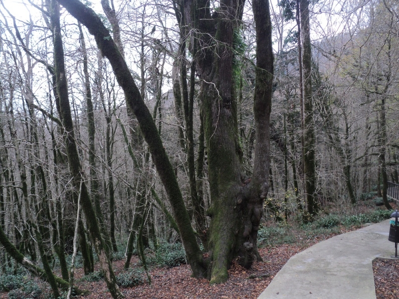 Сочинские экскурсии