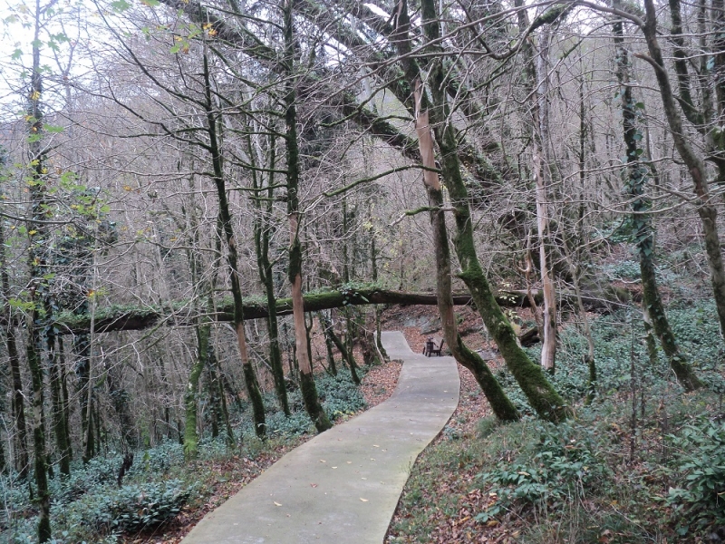 Сочинские экскурсии