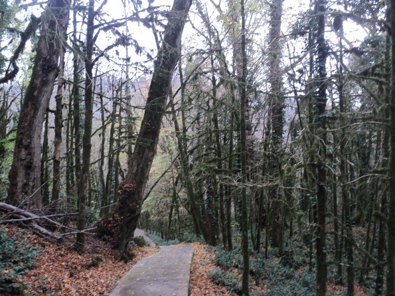 Сочинские экскурсии