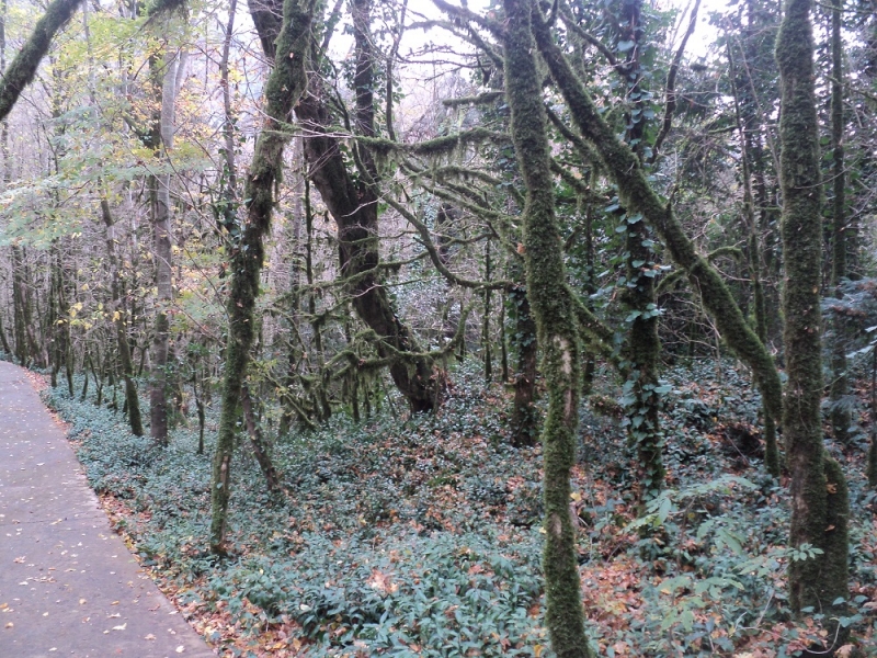 Сочинские экскурсии